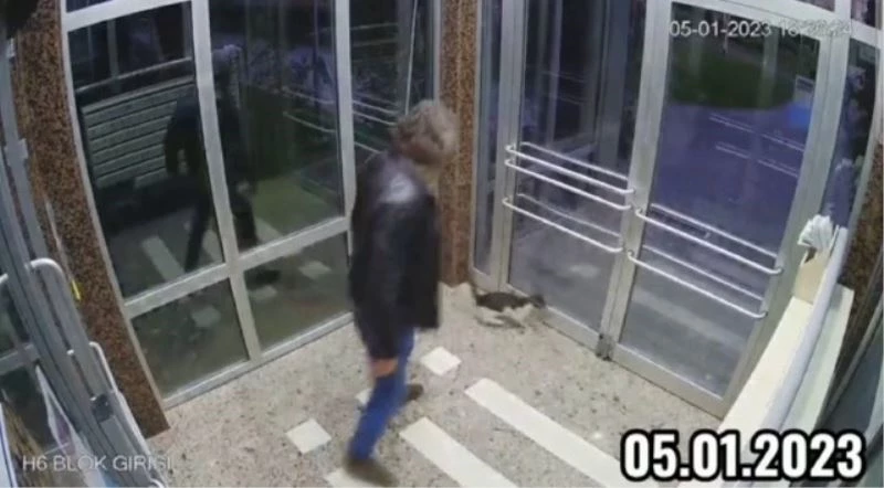 Binaya kapattığı kediyi tekmeleyerek dövdü
