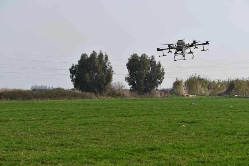 Söke Belediyesinin buğday arazisi dron ile gübrelendi
