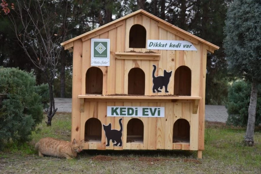 Osmaniye Belediyesinin kedi evleri 
