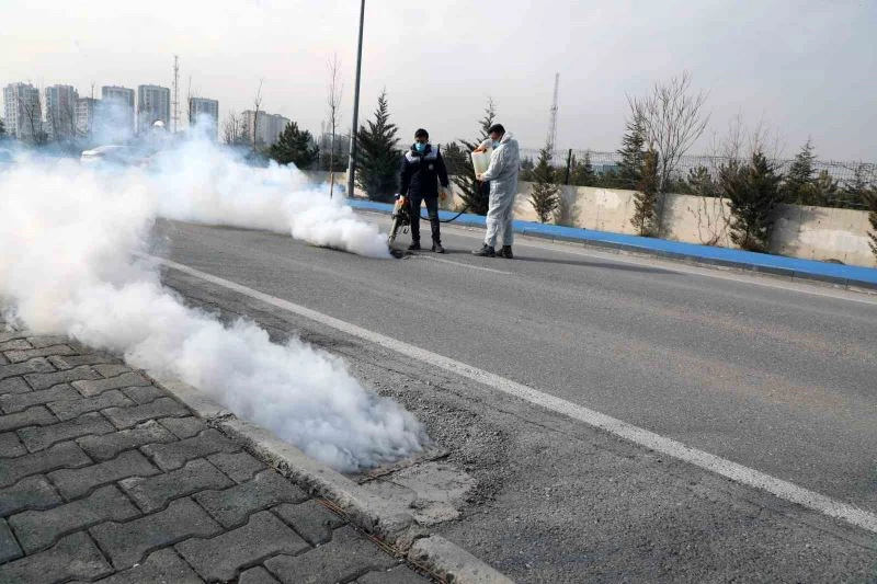 Talas’ta sinek ve haşerata erken önlem
