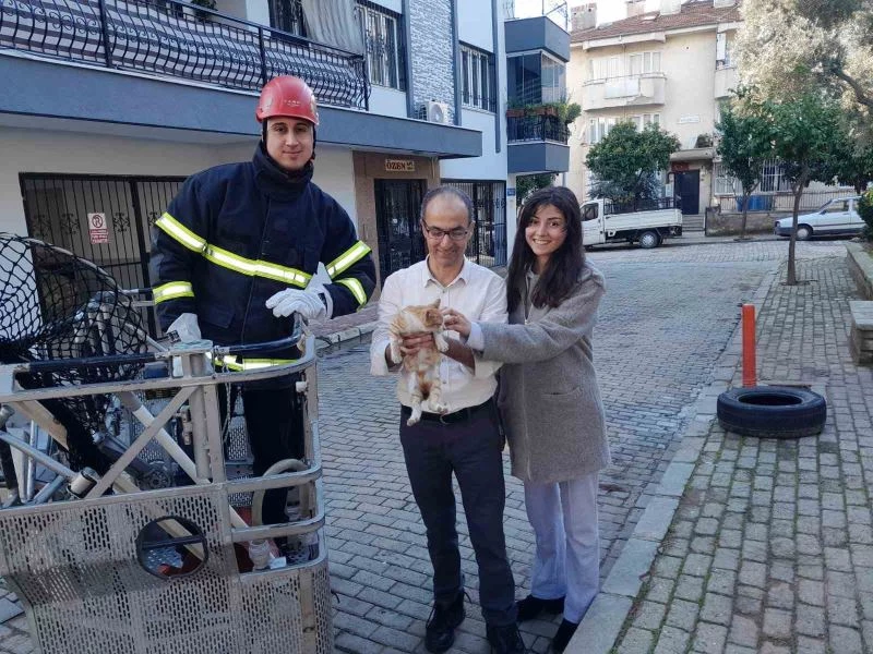 Ağaçta mahsur kalan kedinin imdadına itfaiye ekipleri yetişti
