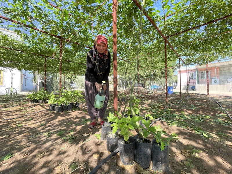 Evlerinin önüne kurdukları tropikal meyve bahçesi gelir kapıları oldu