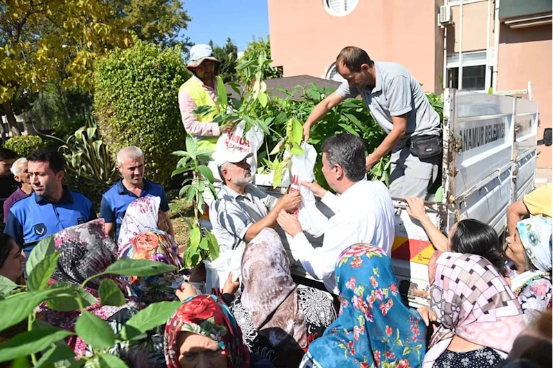 Anamur Belediyesi, kadın çiftçilere ücretsiz avokado fidanı dağıttı