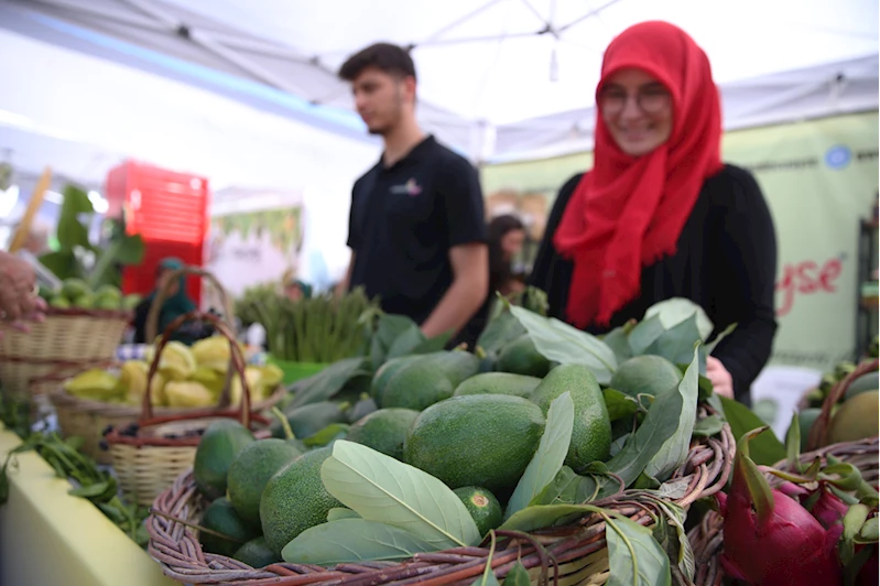 2. Alanya Tropikal Meyve Festivali başladı