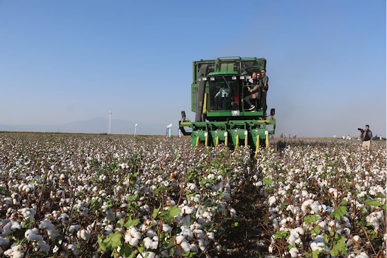 Hatay Valisi Mustafa Masatlı, Amik Ovası