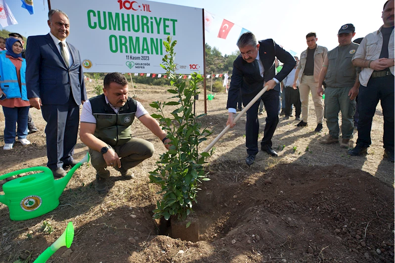 Adana, Mersin, Hatay ve Osmaniye