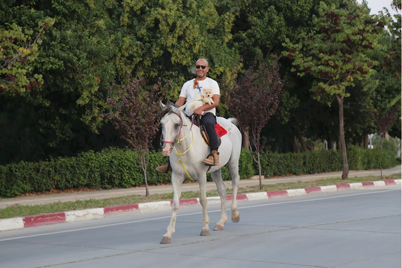Hataylı depremzede ağır hasar alan barakadan kurtardığı atını yanından ayırmıyor