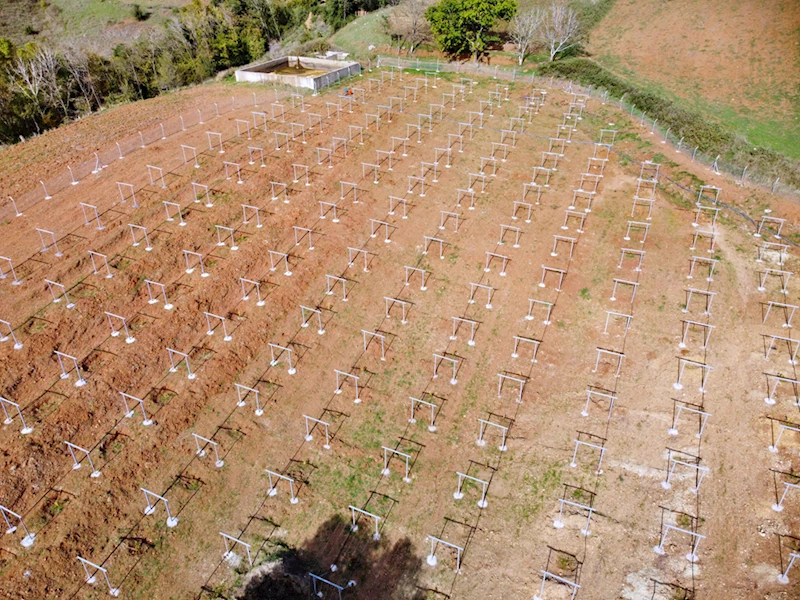 Devlet desteğiyle 19 yaşında tarıma başladı