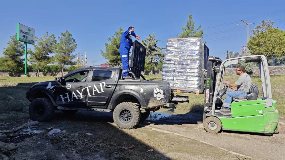 Yaylalarda yaz sonu terk edilen sokak canları için yem bırakıldı