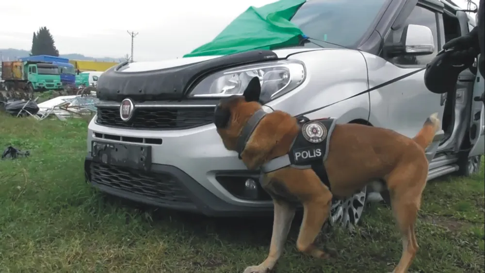 Narkotik Köpeği “Poyraz” Kasım ayının ‘en başarılısı’ oldu