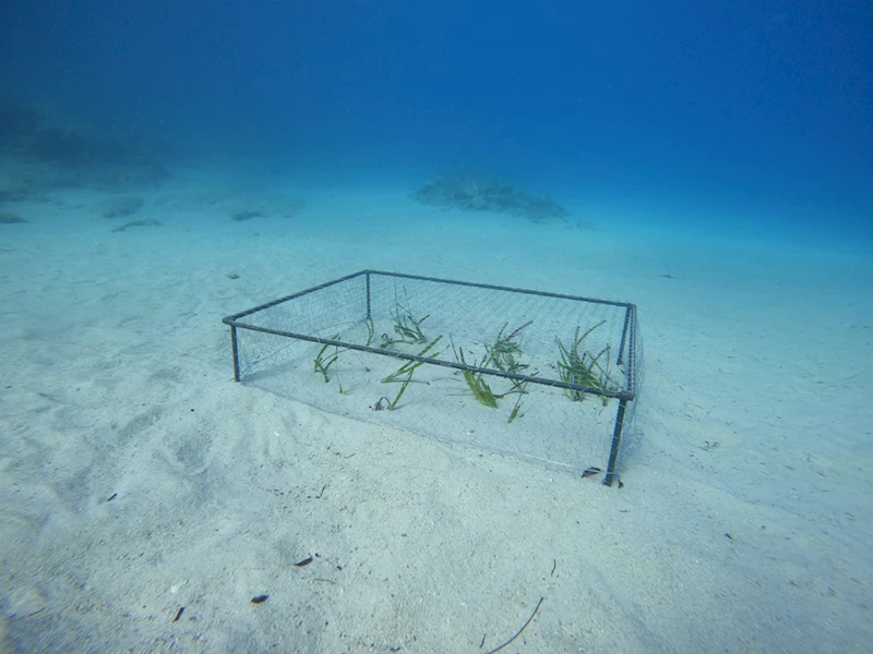 İskenderun Teknik Üniversitesi Kaş-Kekova