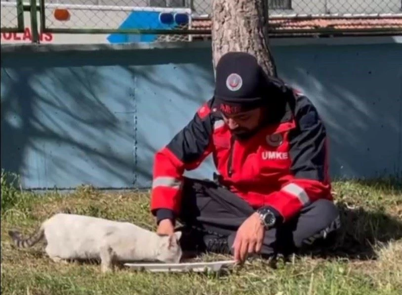 UMKE personeli yemeğini kedi ile paylaştı