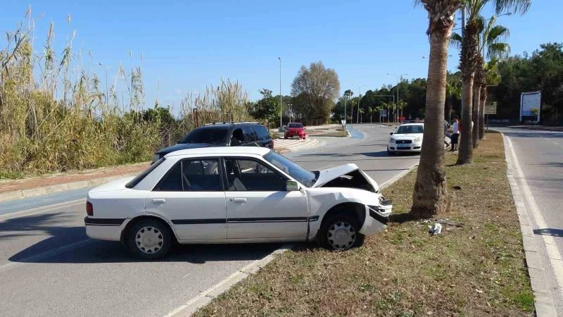 Alkolden ehliyeti iptal edilen sürücü otomobille palmiyeye çarptı
