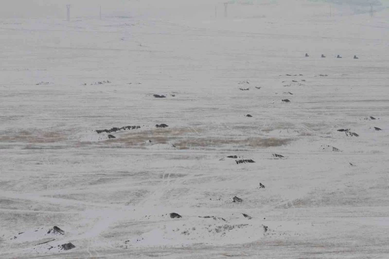 MSB’den Cumhuriyet tarihinin en kapsamlı kış tatbikatı: “Kış Tatbikatı-2023”
