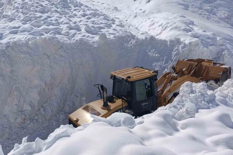 Çatak’ta çığ düştü: 9 yerleşim yerinin yolu kapandı
