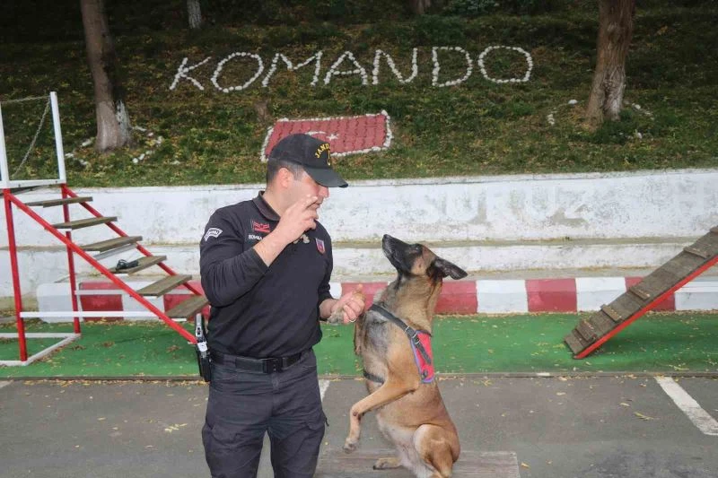 Jandarmanın hassas burnu 