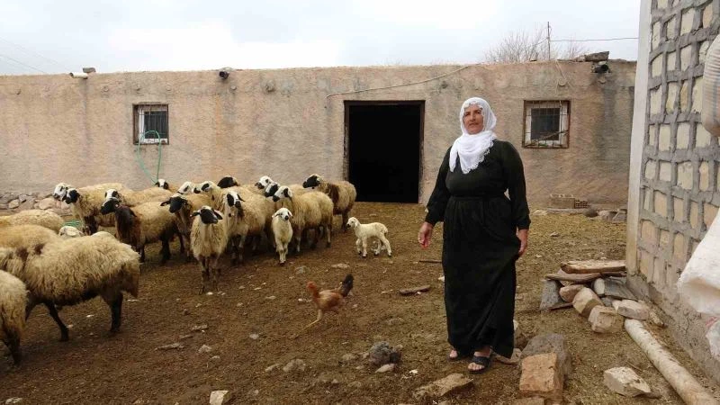 Mardin’in tek kadın muhtarı Nebahat, gelin geldiği köyü iki dönemdir yönetiyor
