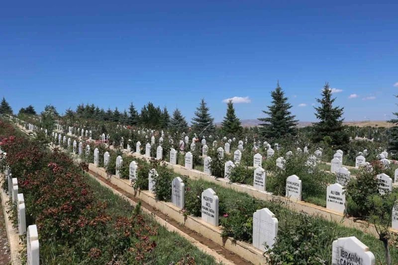Covid-19 Sivas’ta 809 Can Aldı

