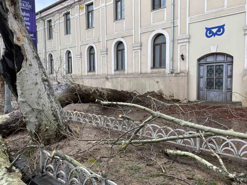 Beşiktaş’ta devrilen ağaçtan kopan parça ticari taksinin üzerine düştü
