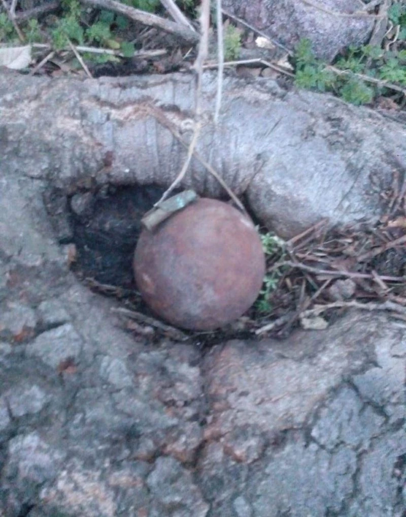 Ayvacık’ta Osmanlı döneminden kaldığı değerlendirilen 2 el bombası imha edildi

