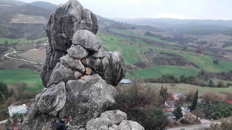 Dev kaya bir mahallenin kabusu oldu