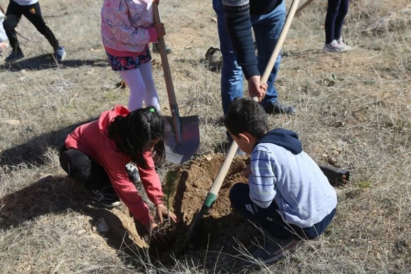 Fidan dikimine minikler de katıldı
