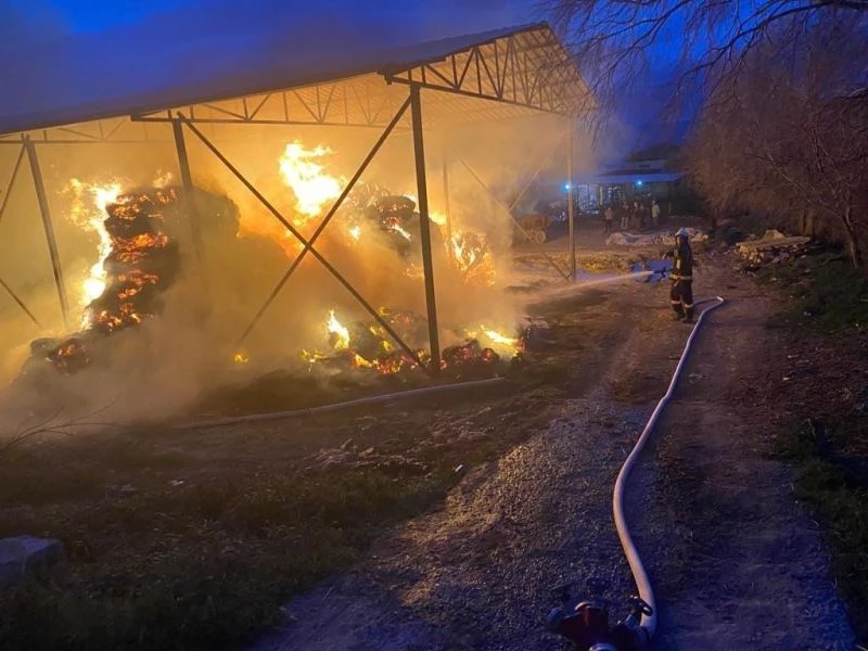 Binlerce balya saman alev alev yandı
