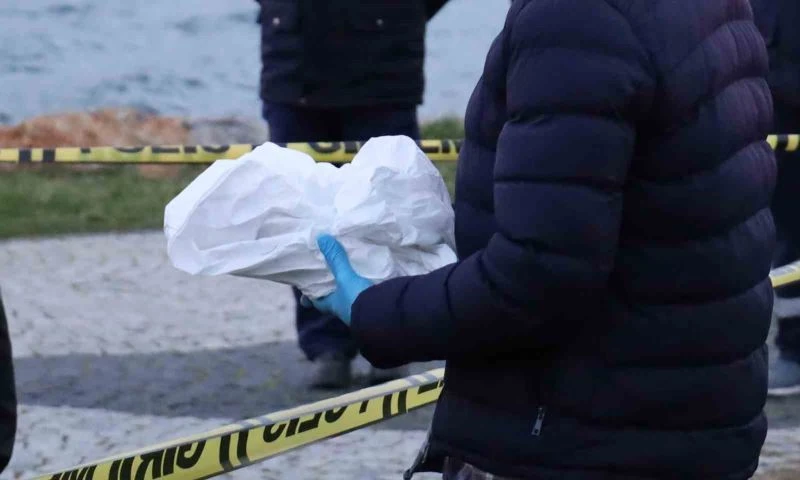 Arıtma sisteminde cenin bulundu
