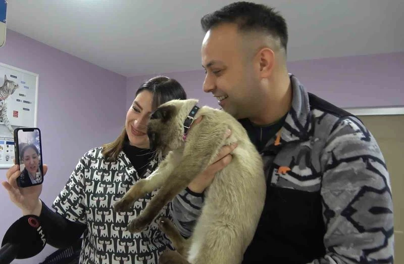 Depremde kaybolmuştu, mikroçip sayesinde ’Paşa’nın sahibi bulundu
