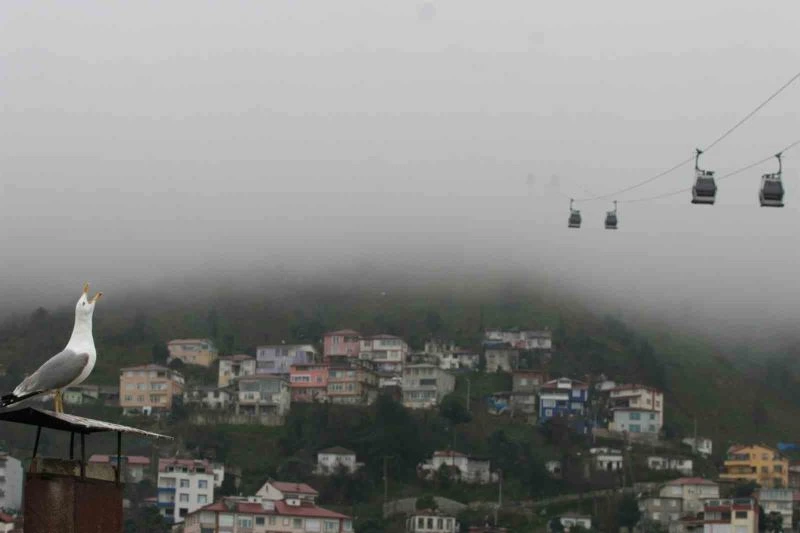 Ordu’da sis güzelliği
