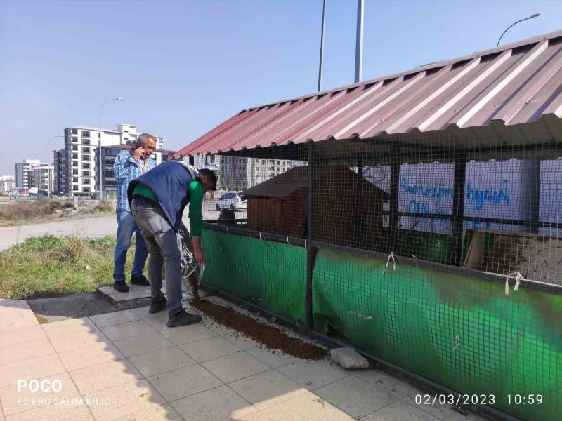 Osmaniye’de sokak hayvanlarına mama desteği
