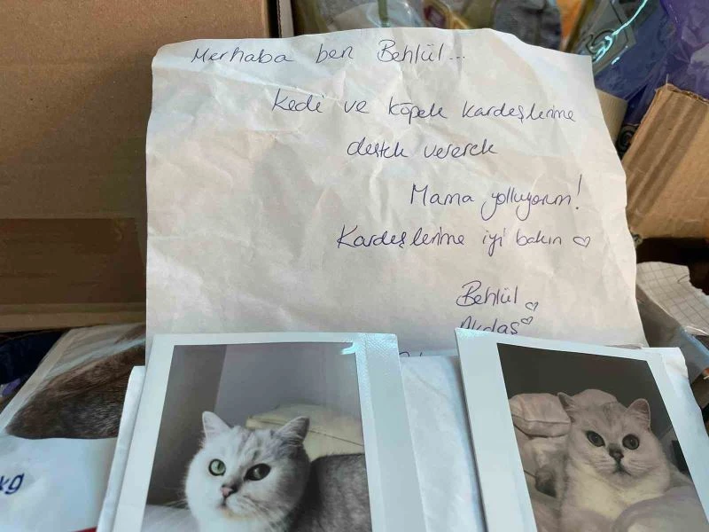 Almanya’da yaşayan gurbetçi, depremzede sokak hayvanlarını unutmadı
