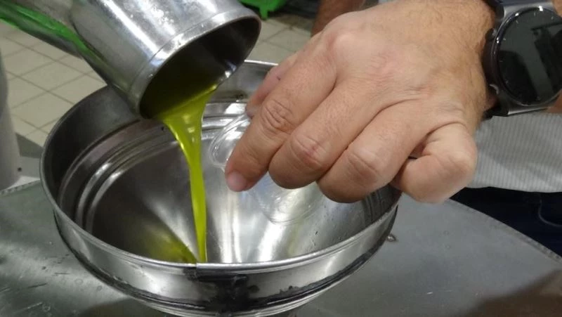 Edremit Zeytinyağı’nın Avrupa Birliği tarafından tescillenmesi için son viraj dönüldü
