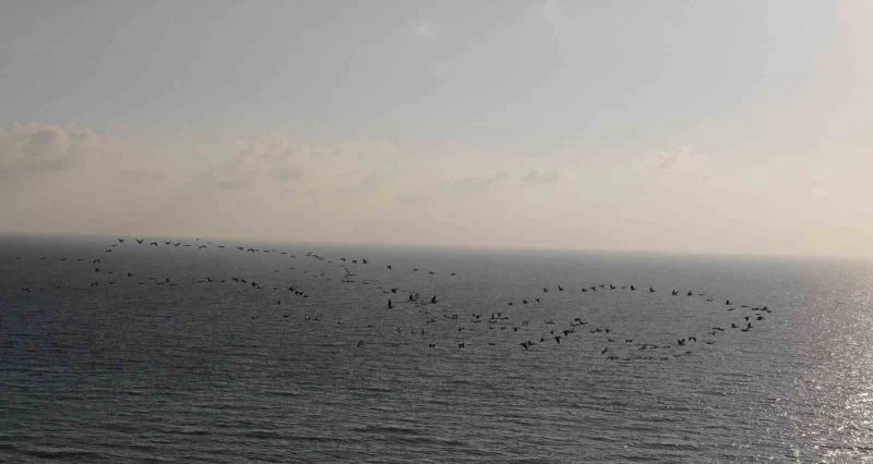 Depremin vurduğu Hatay’da göç eden turnalardan görsel şölen
