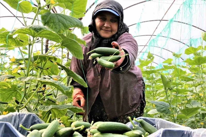 Antalya Hali’nde bahar hareketliliği: Ürün fiyatları yüzde 50 düştü
