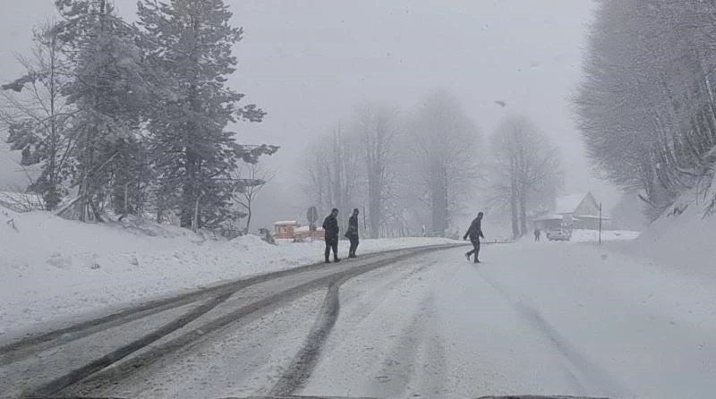 Kocayayla geçidi, yoğun kar yağışı nedeniyle ağır vasıtalara geçit vermedi
