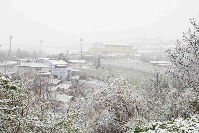 Mart kapıdan baktırdı: Kavak beyaza büründü
