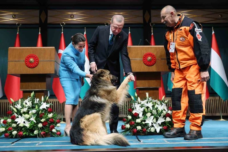 Cumhurbaşkanı Erdoğan: “TANAP’tan Macaristan’a doğalgaz göndermeye hazırız