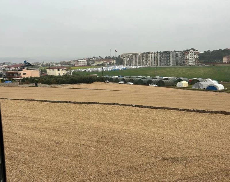 İl Özel İdaresi ekipleri çadırkent ve konteyner altyapı çalışmalarını sürdürüyor
