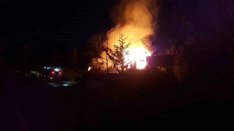 Bungalov ev alevlere teslim oldu
