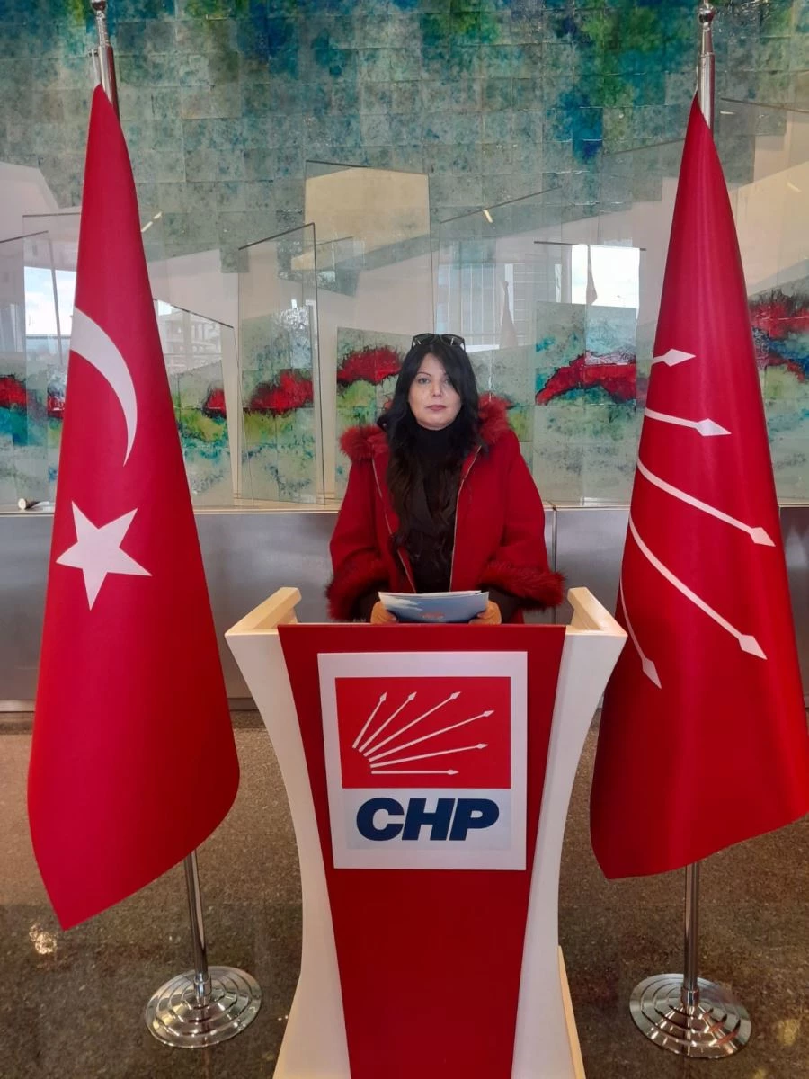 Gazeteci Gönül Taş Hatay