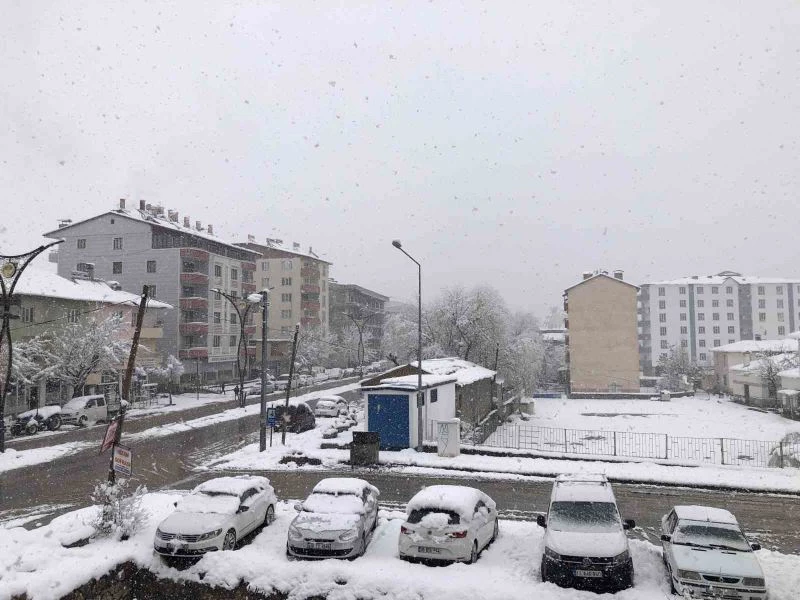 Hizan’da kar yağışı
