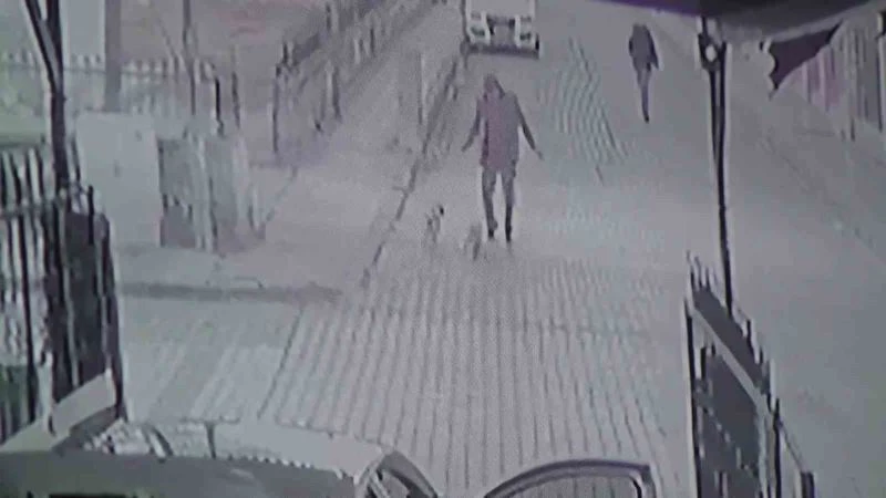 İki minik köpeğin kovaladığı adam böyle kaçtı

