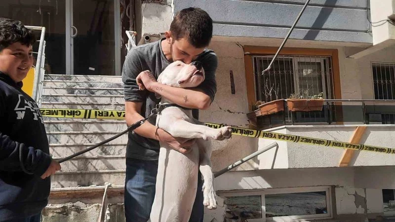 Kahraman köpek ’Dora’, deprem anında kendisini siper ederek sahiplerini korudu
