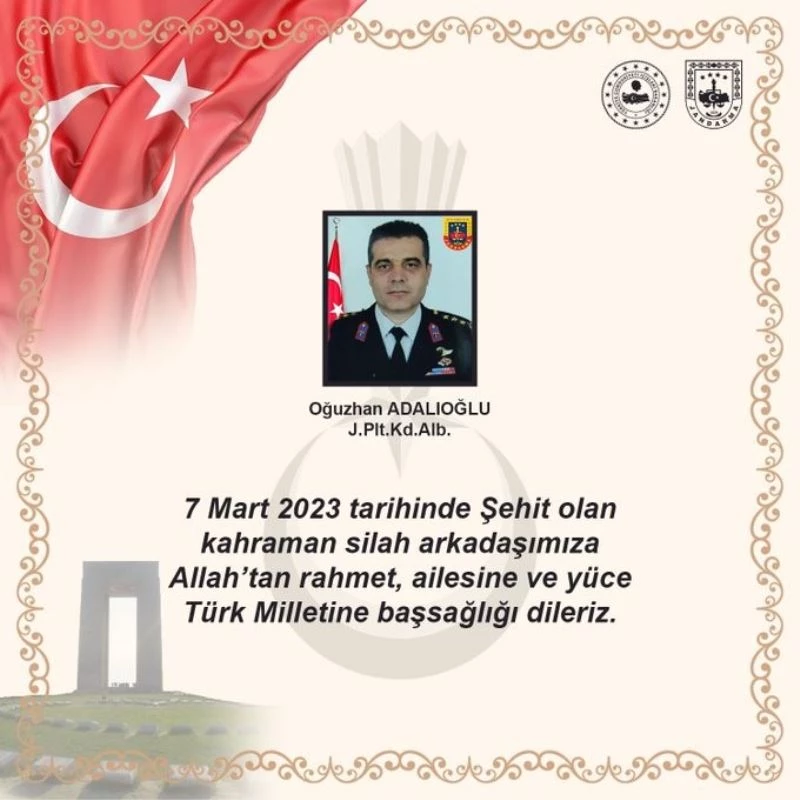 Jandarma Pilot Kıdemli Albay Adalıoğlu pervane çarpması sonucu şehit oldu
