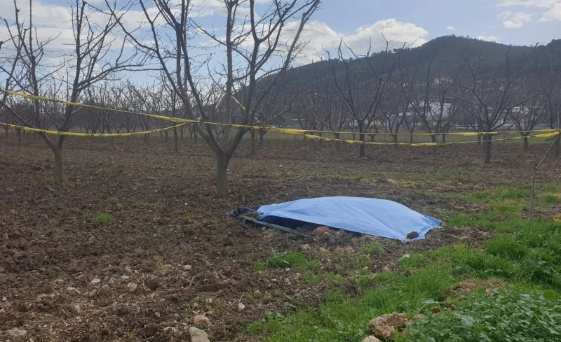 Tarlada erkek cesedi bulundu
