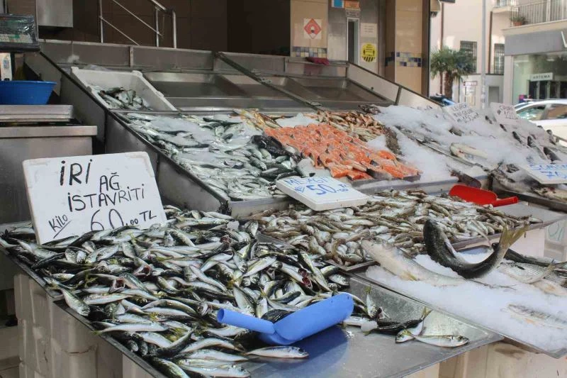 Balık sezonunda sona yaklaşıldı, tezgahlar mezgit ve istavrite kaldı
