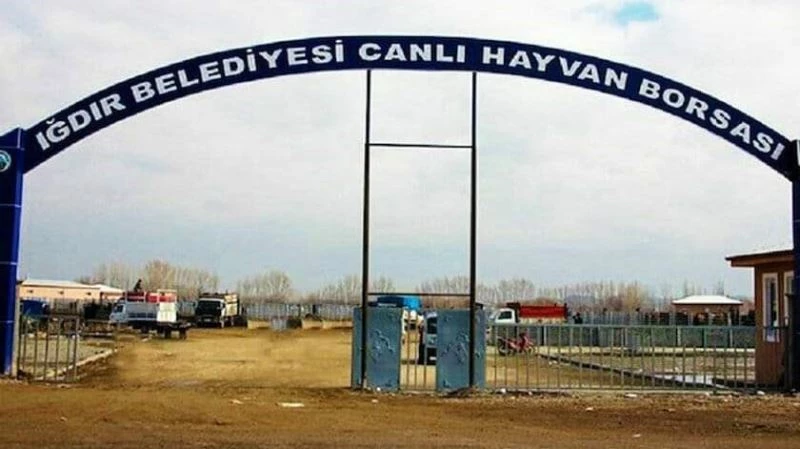 Şap hastalığından dolayı Iğdır hayvan pazarı kapatıldı
