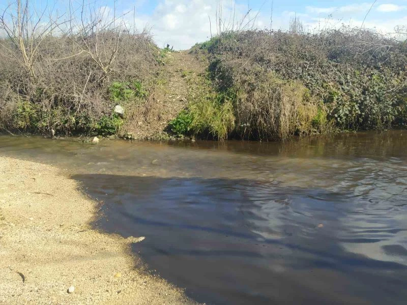 Büyükçekmece Barajı’na akan derede kimyasal atık şüphesi
