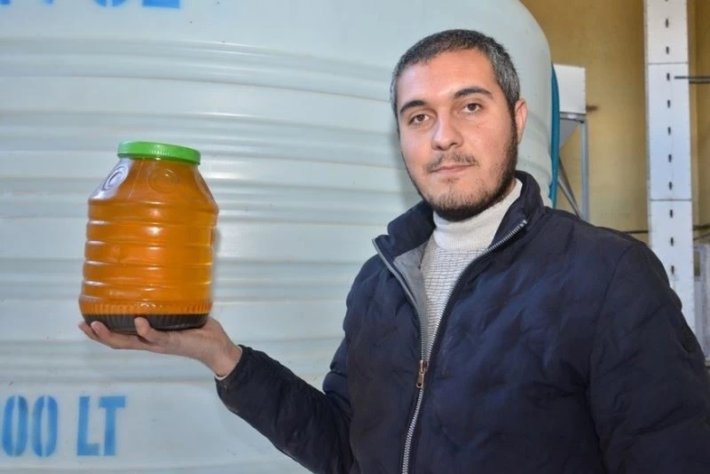 Elek altı çerezlik ayçiçeği, bu tesiste yağa ve küspeye dönüşüyor
